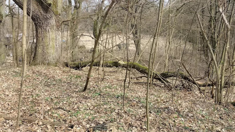 Grodzisko wczesnośredniowieczne "Anielska Góra"