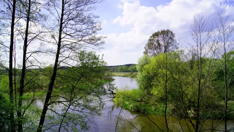 Park Krajobrazowy Międzyrzecza Warty i Widawki