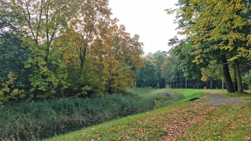 Park Staromiejski
