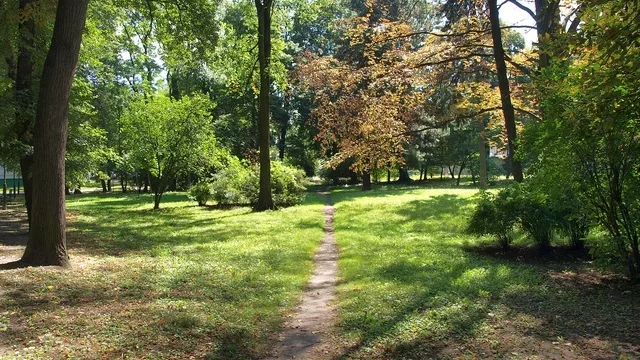 Park Andrzeja Struga