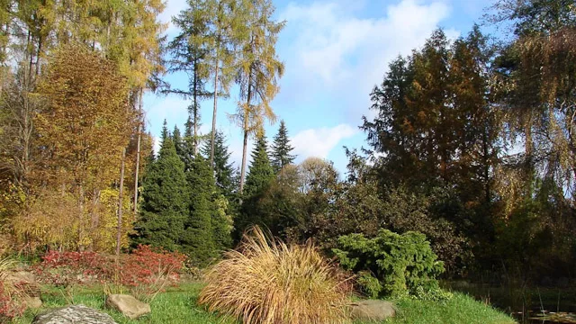 Arboretum SGGW