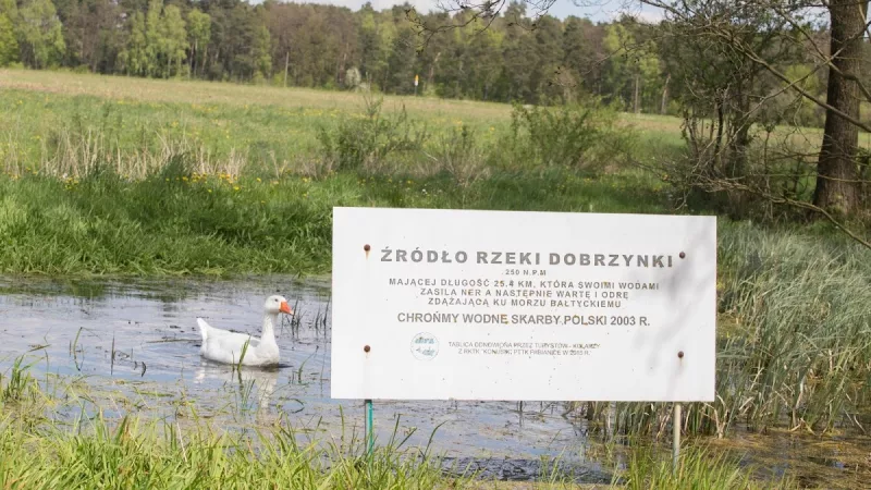 Źródła Rzeki Dobrzynki