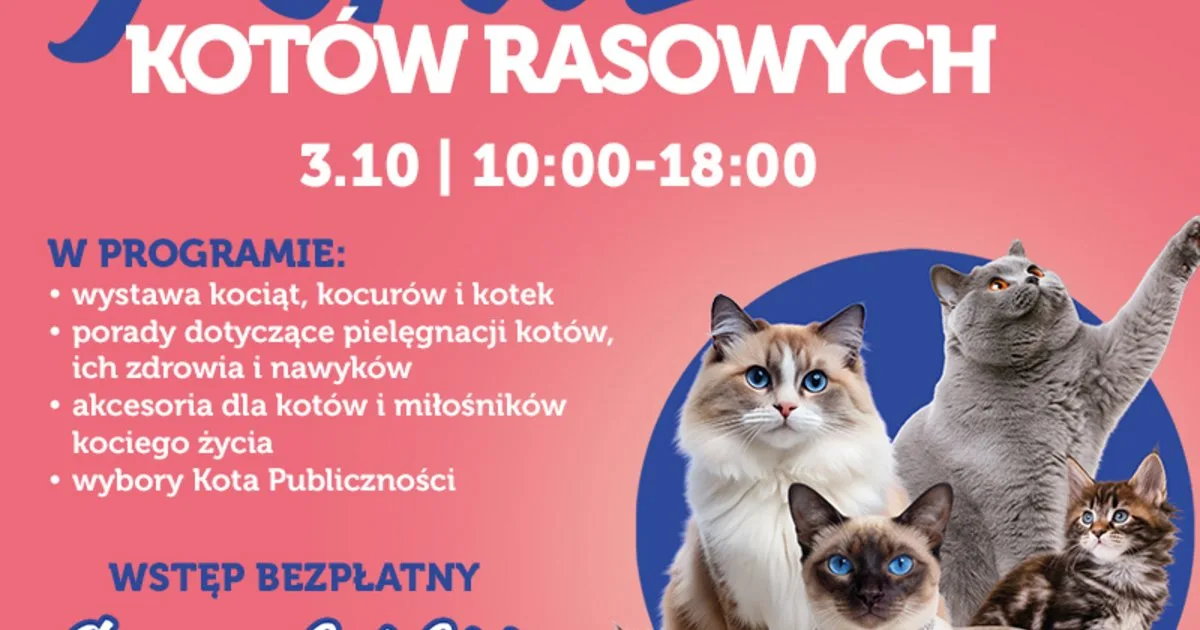 Pedigree Cat Show at Pasaż Łódzki