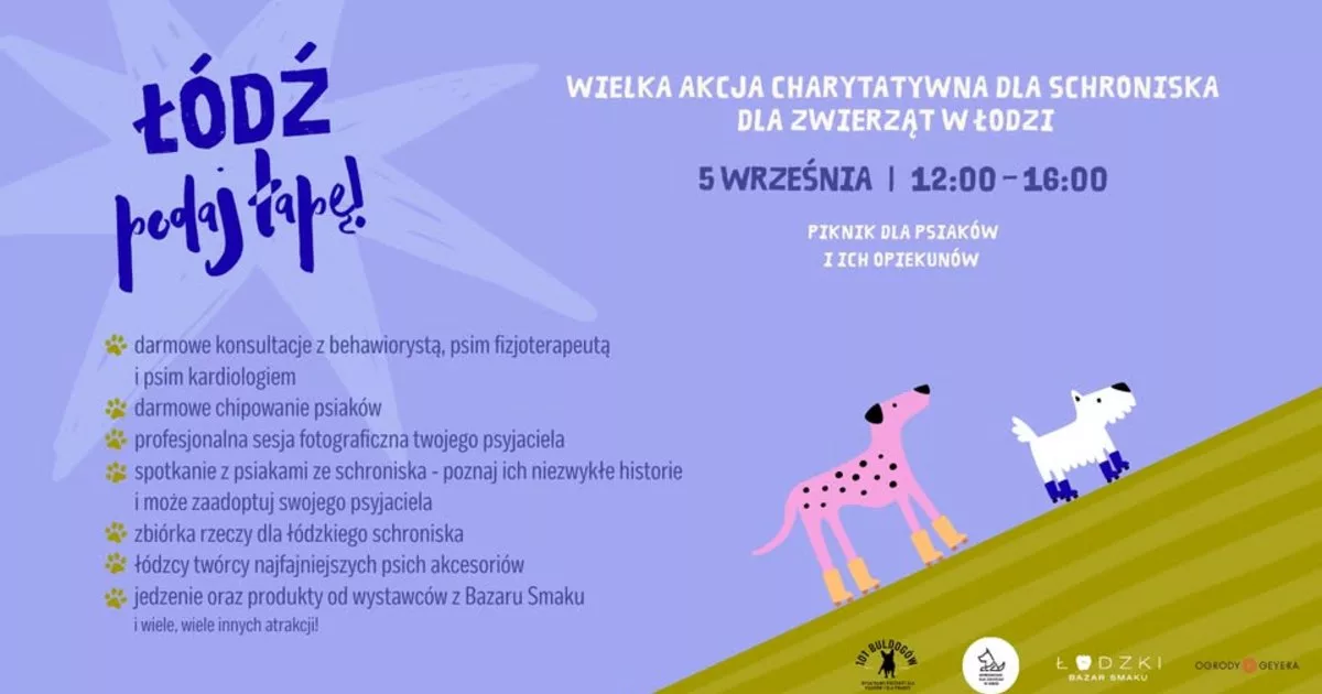 ŁÓDŹ PODAJ ŁAPĘ! | Wielka Akcja Charytatywna dla Schroniska w Łodzi | Ogrody Geyera