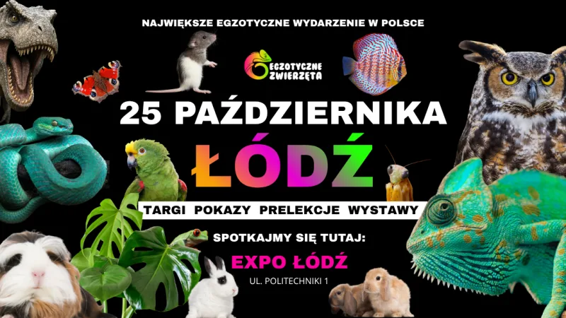 ŁÓDŹ 25 PAŹDZIERNIKA - EGZOTYCZNE ZWIERZĘTA