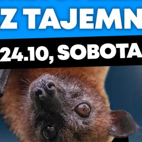 Nietoperze bez tajemnic. Dzień Nietoperza w Orientarium ZOO Łódź