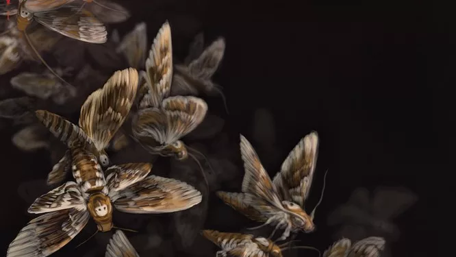 "The Silence of the Lambs" / 2D subtitled