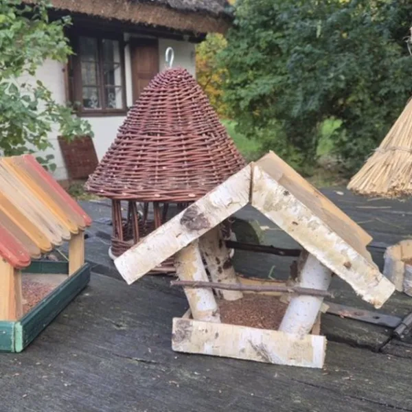 Workshop "Building a Bird Feeder" at the Botanical Garden